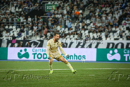 BOTAFOGO X MIRASSOL - CAMPEONATO BRASILEIRO SERIE A 2025 - 12ª Rodada ( Jogo atrasado)