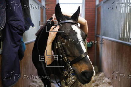 The King's Troop Royal Horse Artillery prepares for 80th anniversary of VE Day