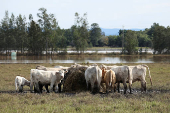 Aftermath of flooding in Ghinni Ghinni