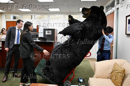 Marty, the Moose, and Kodak, the Bear, are installed on Capitol Hill in Washington