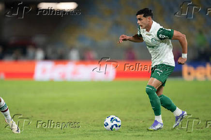 BRASILEIRO A 2025, FLUMINENSE X PALMEIRAS