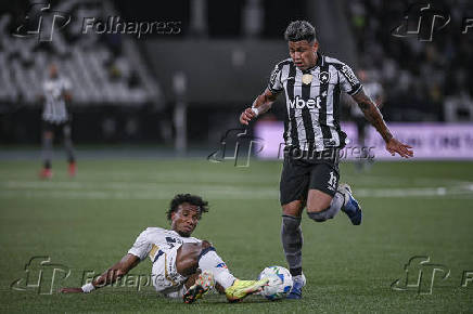 Partida válida pela Copa Libertadores da América entre Botafogo e LDU