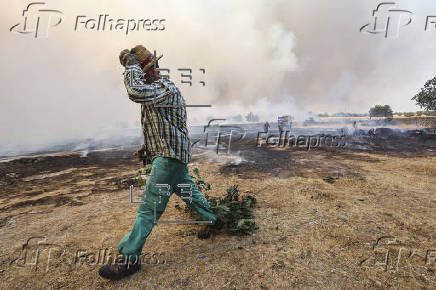 Incendio en Cipérez (Salamanca)