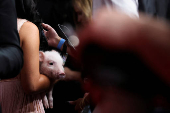60th Academy of Country Music (ACM) Awards in Frisco
