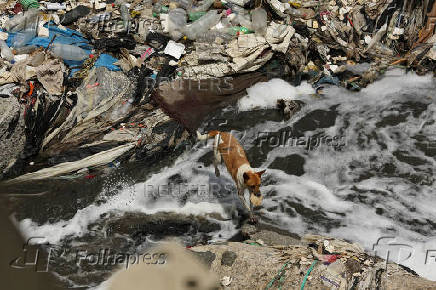 Atlantic Ocean protected from garbage by Ocean Cleanup barriers in Guatemala