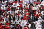 Portuguese Cup Final - Benfica vs Sporting
