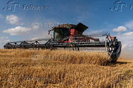 Farmers in U.S. heartland, where ties to wheat run deep, question crop's future