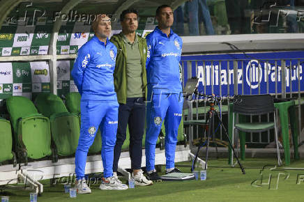 Match between Palmeiras and Mirassol for the Brazilian football championship