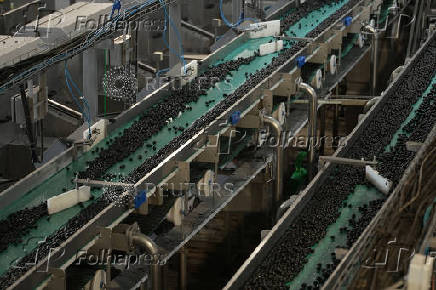 Spanish olive exporters adapt to survive U.S. tariffs