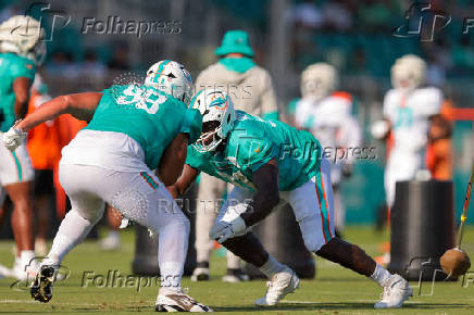 NFL: Miami Dolphins Training Camp