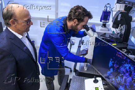 Florida International University's investigation on Alzheimer's disease early detection