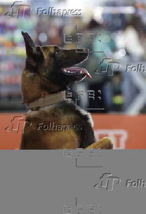 Pet Expo 2025 in Bucharest