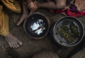 The Last Nomads of Nepal: A Vanishing Culture in the Forests of Surkhet