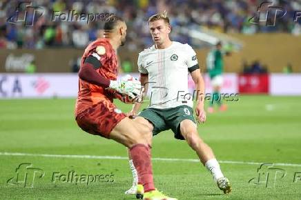 Partida entre Palmeiras e Chelsea pelo Mundial de Clubes da FIFA