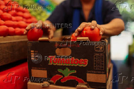 U.S. duties on Mexican tomato imports