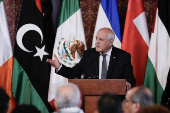 Cumbre ministerial de emergencia del Grupo de La Haya en Bogotá