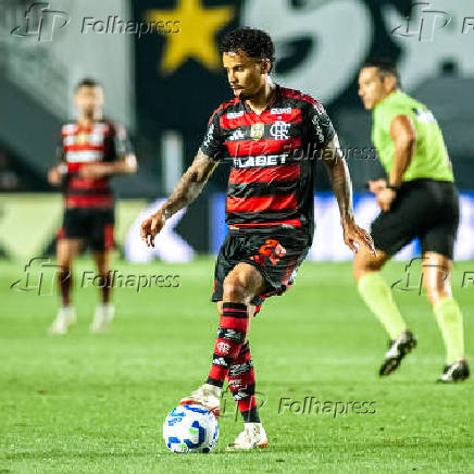 Partida entre Santos x Flamengo