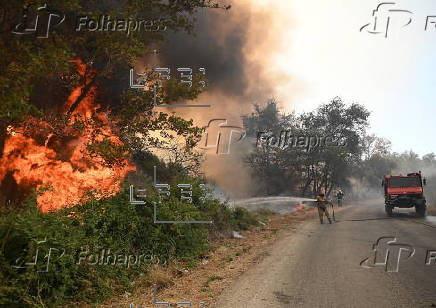 Wildfire in Greece's Peloponnese region
