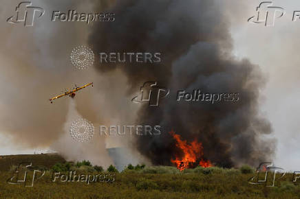 Wildfire on the outskirts of Abejera