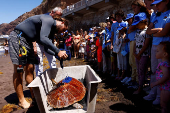 Marine biologist Alejandro Usategui of the NGO, ADS Biodiversity, wets the loggerhead sea turtle, named Amadora (Caretta Caretta), on the Sardina del Norte Beach