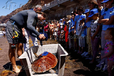 Marine biologist Alejandro Usategui of the NGO, ADS Biodiversity, wets the loggerhead sea turtle, named Amadora (Caretta Caretta), on the Sardina del Norte Beach