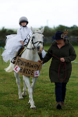 Agricultural show, in Athenry