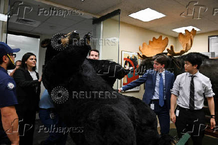Marty, the Moose, and Kodak, the Bear, are installed on Capitol Hill in Washington
