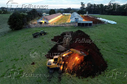 FILE PHOTO: FILE PHOTO: Bird flu in top chicken exporter Brazil triggers trade bans