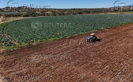 FILE PHOTO: A drone view shows a tractor ploughing land at a farm