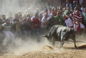 FIESTAS DEL TORO ENMAROMADO DE BENAVENTE