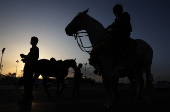 Horse riding in Sana'a