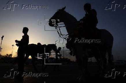 Horse riding in Sana'a