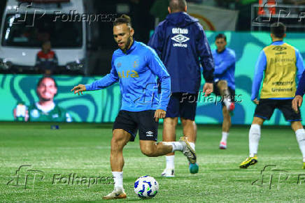SAO PAULO, SP, 26.07.2025-BRASILEIRO SERIE A-PALMEIRAS (SP) X GREMIO (RS)