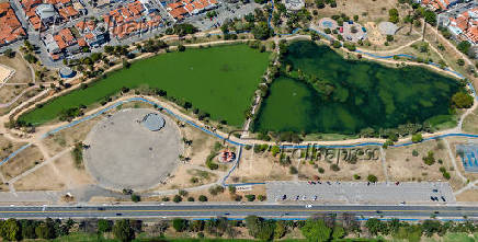 Algas em Lago de Sorocaba