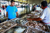 Santa Feira do Peixe no Ceagesp