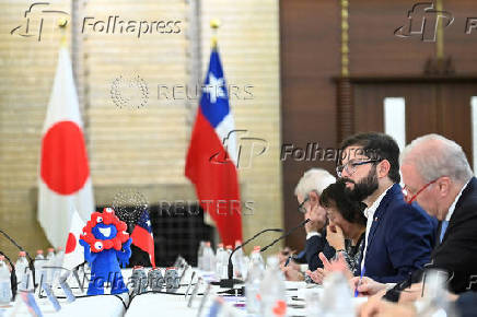 Japan-Chile meeting, in Tokyo