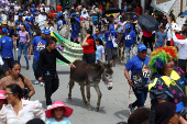 19th Regional Donkey Competition in Moniquira