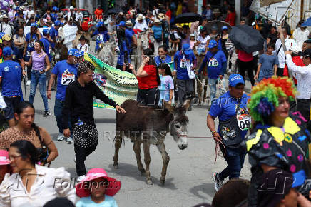 19th Regional Donkey Competition in Moniquira