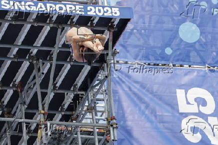 World Aquatics Championships Singapore 2025 - Day 14