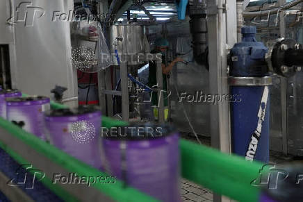 Spanish olive exporters adapt to survive U.S. tariffs